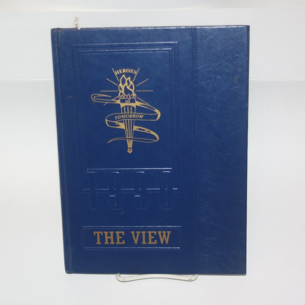 1989-1990 Mt Lebanon Junior High School Yearbook Pittsburgh PA JOE MANGANIELLO